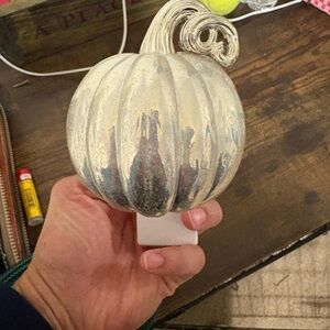 Bath & Body Works Silver Pumpkin Wallflower